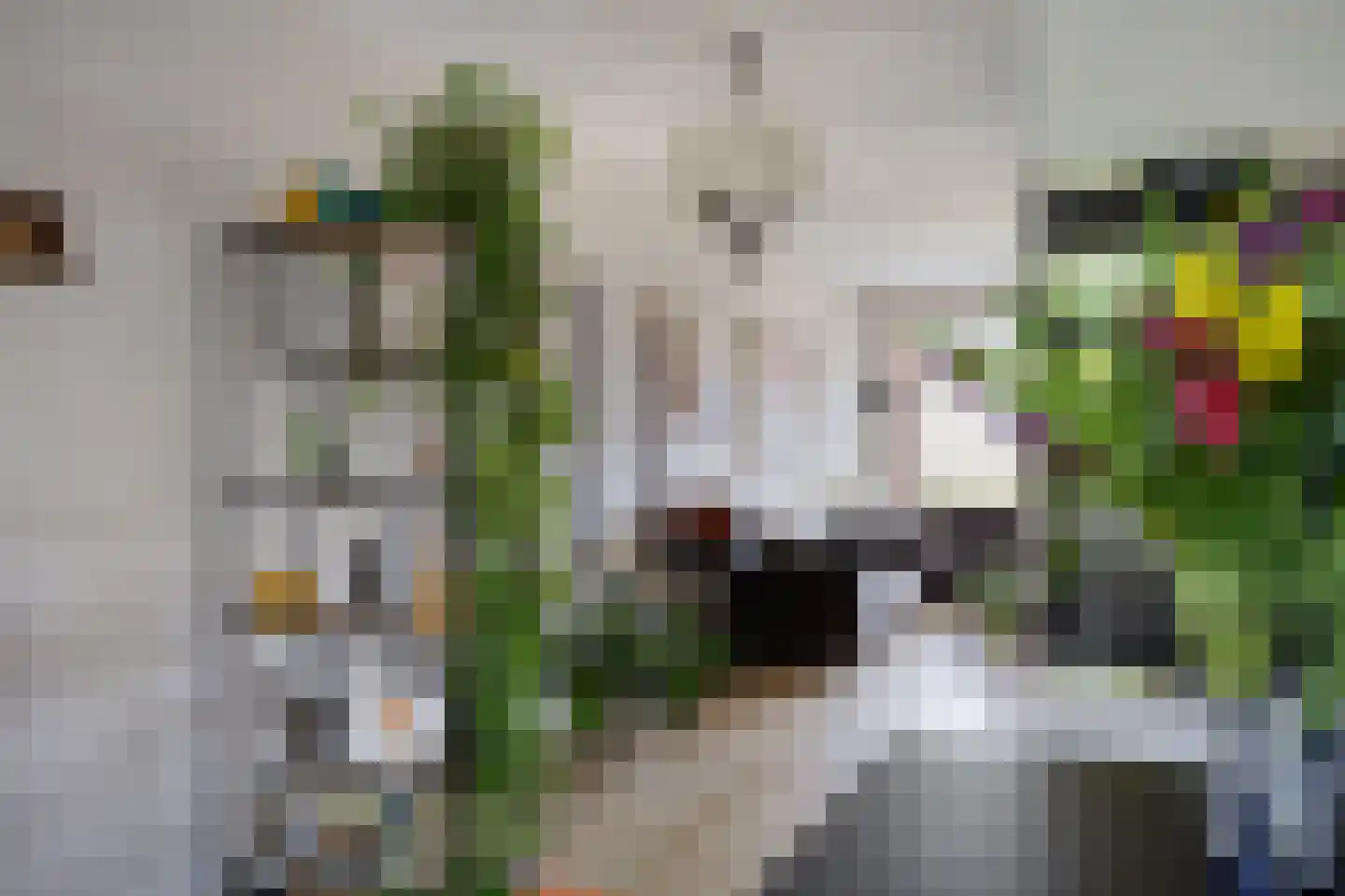 Grasbloem 83 Eindhoven thumbnail 23