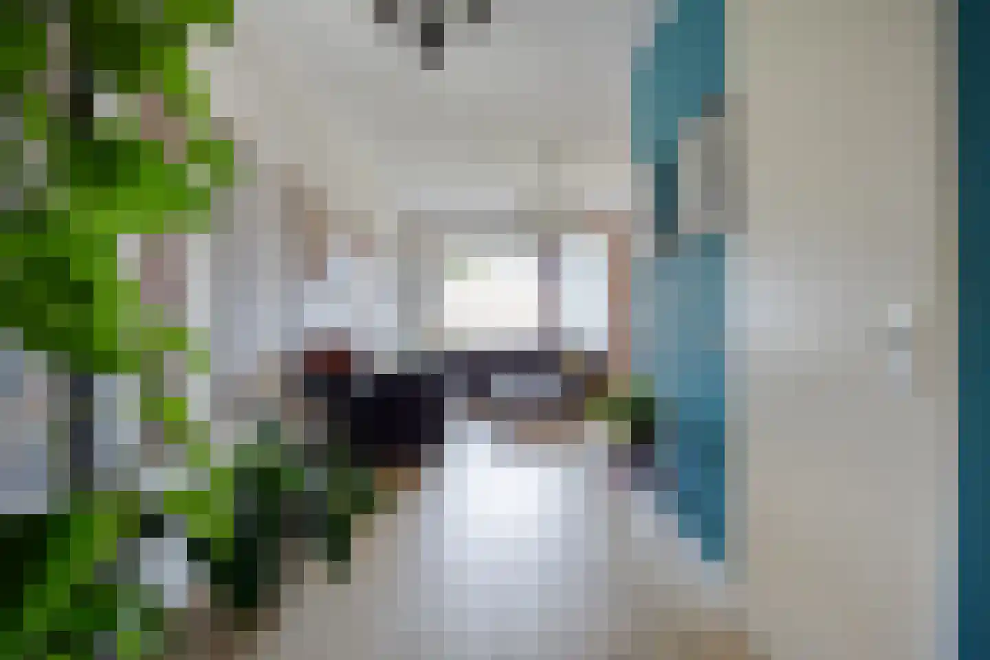 Grasbloem 83 Eindhoven thumbnail 24
