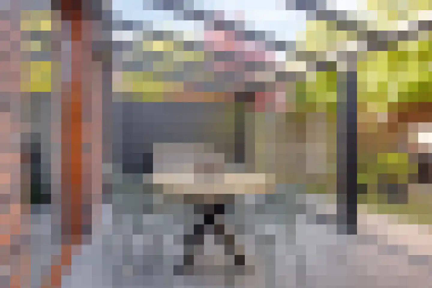 Grasbloem 83 Eindhoven thumbnail 41
