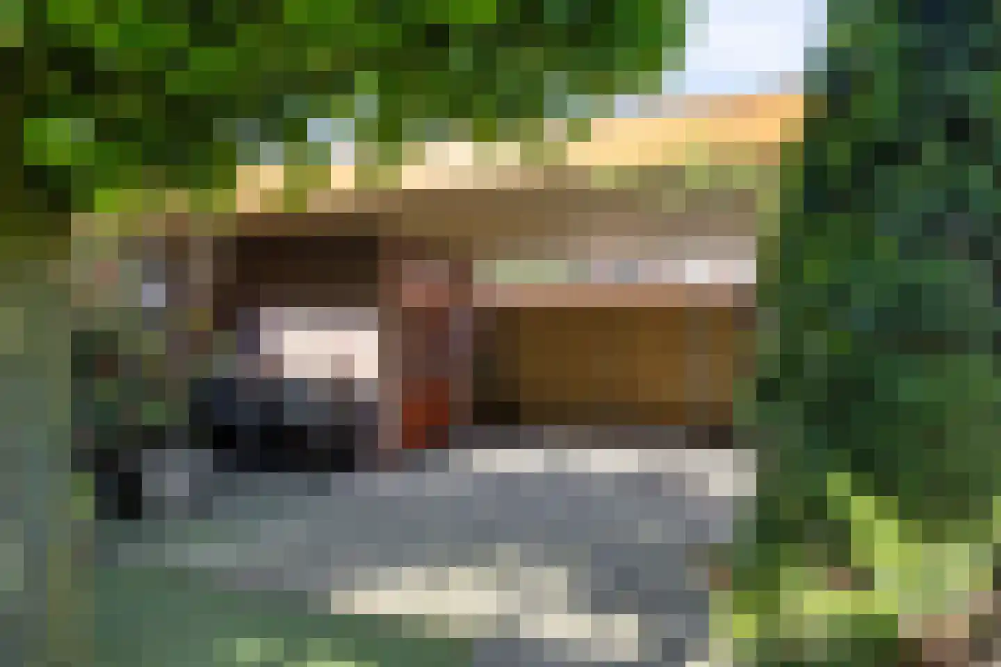 Grasbloem 83 Eindhoven thumbnail 43