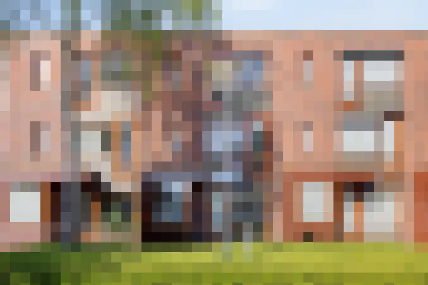 Grasbloem 83 Eindhoven thumbnail 46