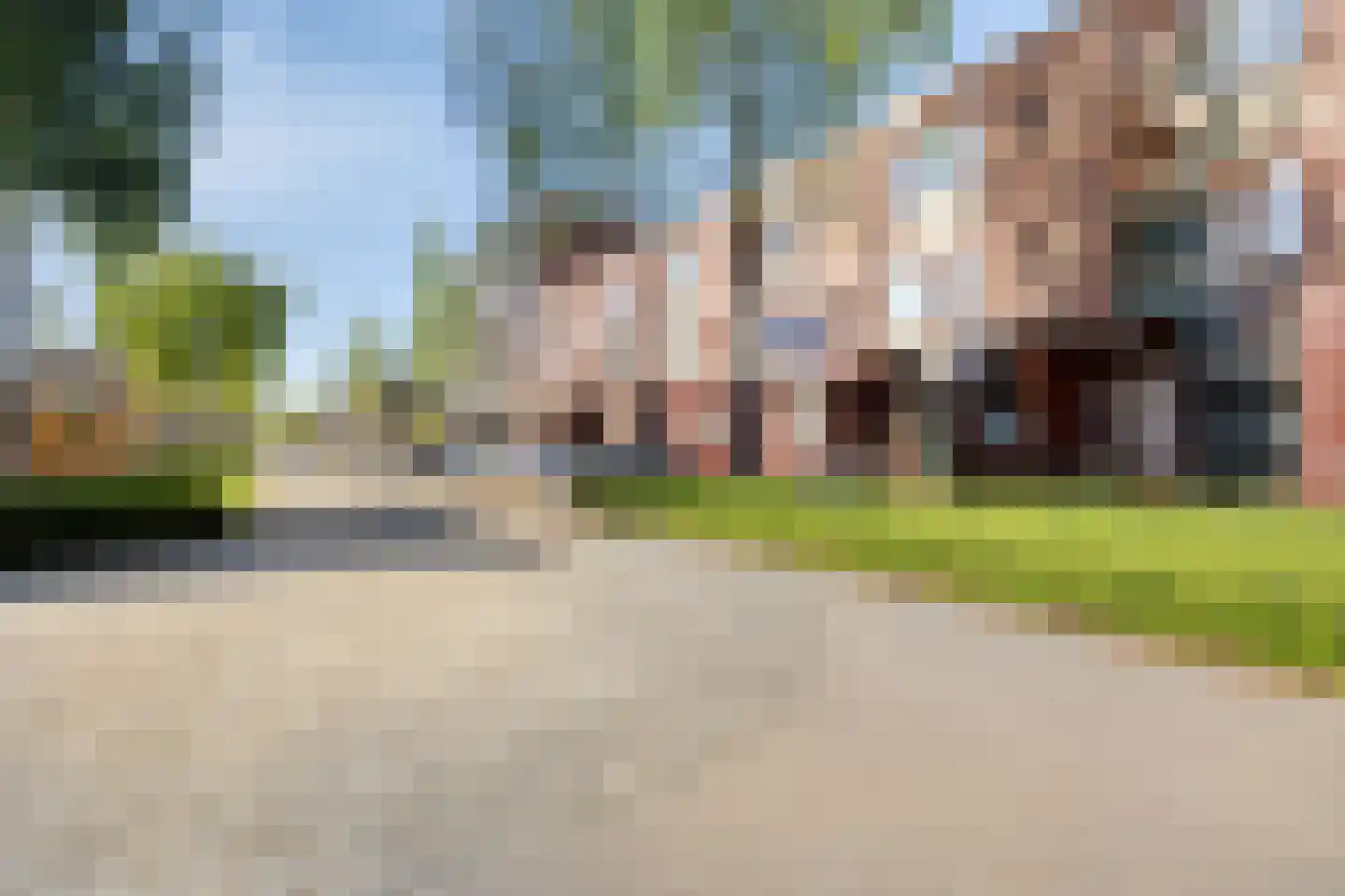 Grasbloem 83 Eindhoven thumbnail 47
