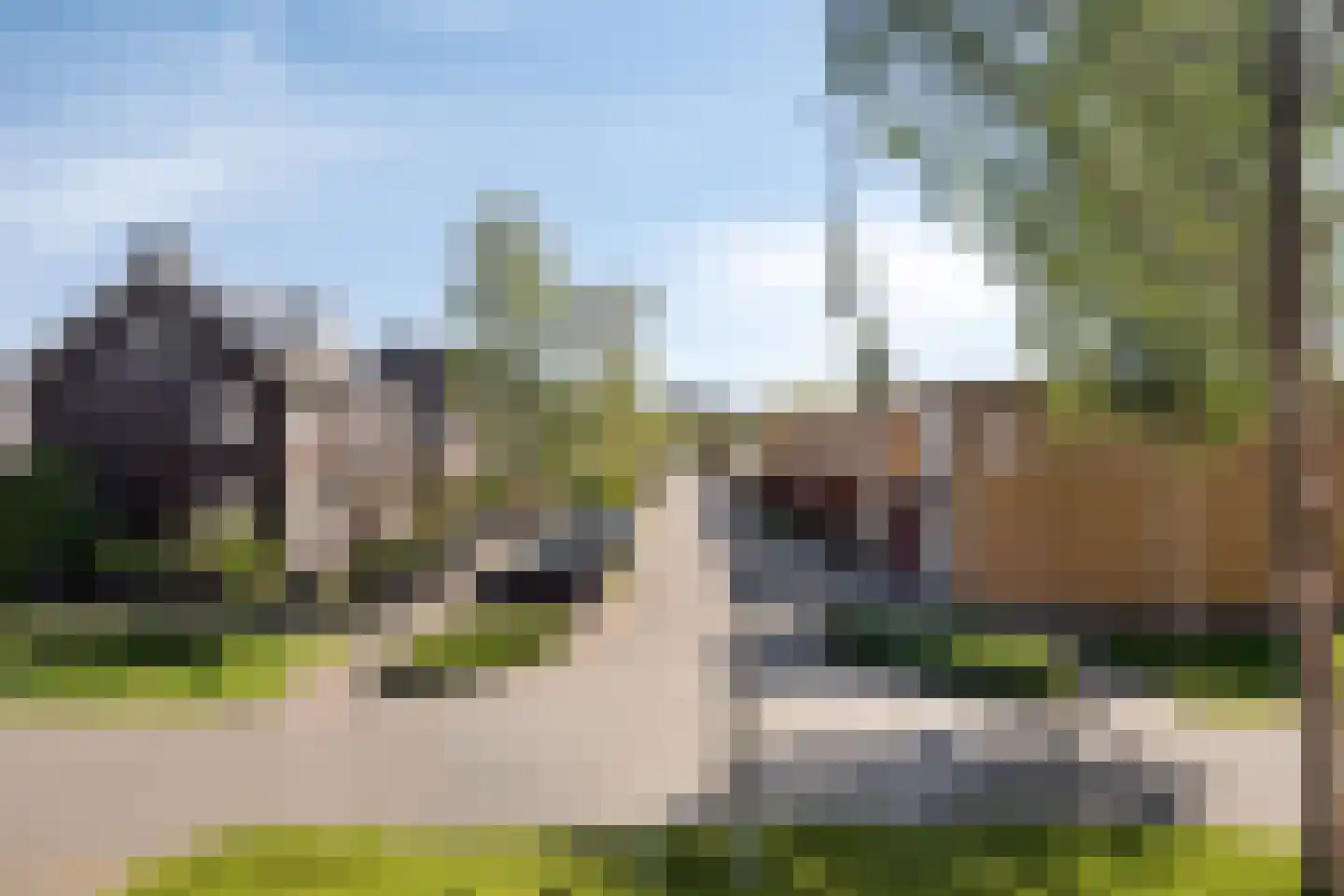 Grasbloem 83 Eindhoven thumbnail 48