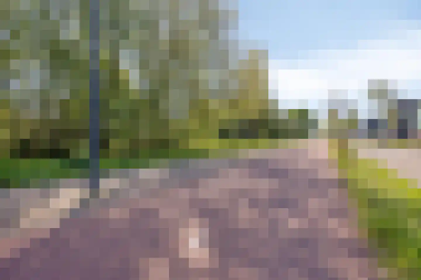 Grasbloem 83 Eindhoven thumbnail 49