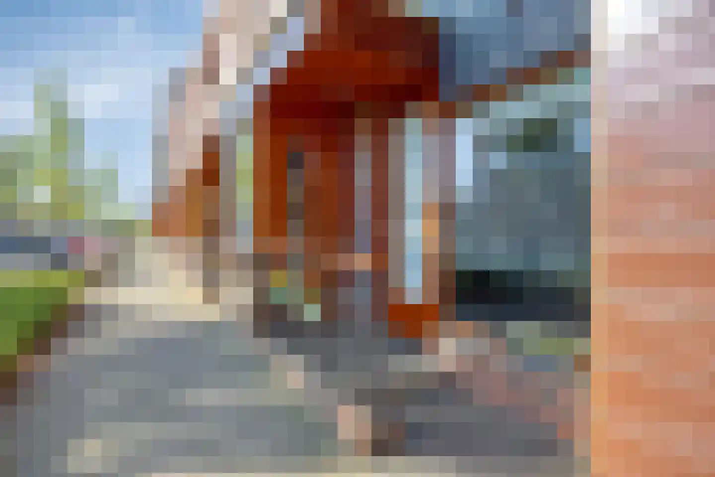 Grasbloem 83 Eindhoven thumbnail 5
