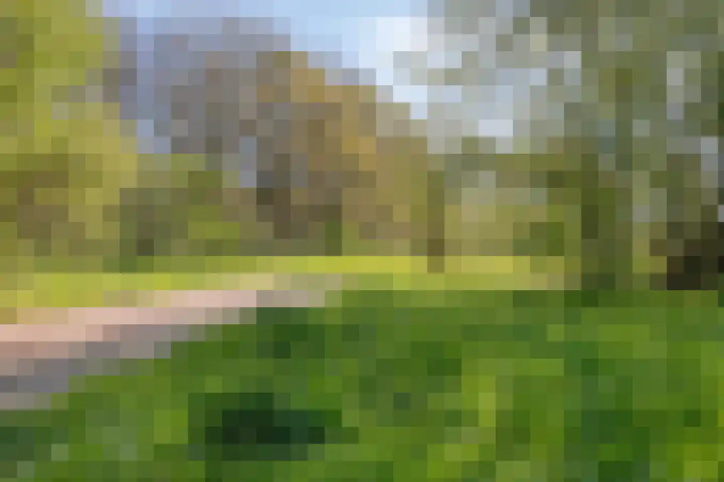 Grasbloem 83 Eindhoven thumbnail 50