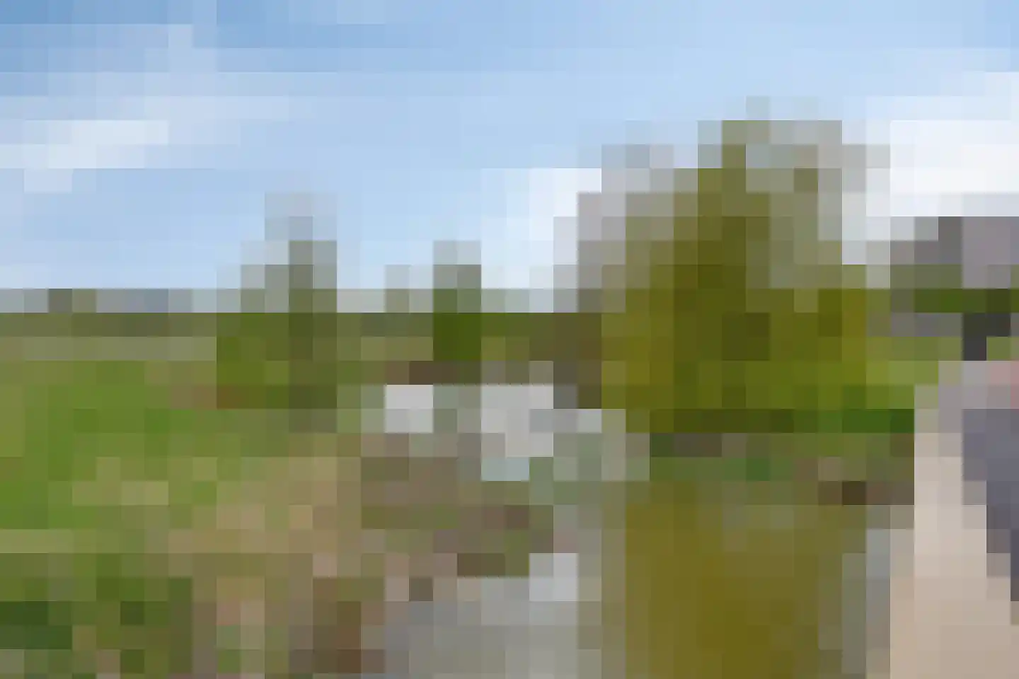 Grasbloem 83 Eindhoven thumbnail 51