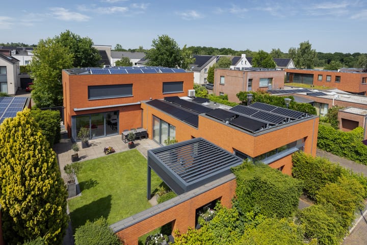 Grasboom 16 in Eindhoven Foto