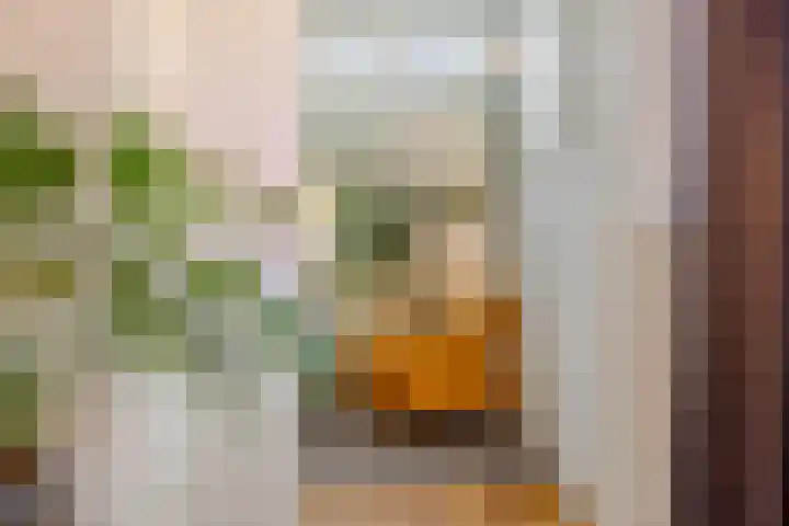 Grasboom 16 Eindhoven thumbnail 11