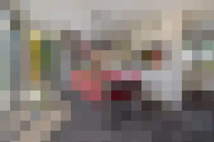 Grasboom 16 Eindhoven thumbnail 13
