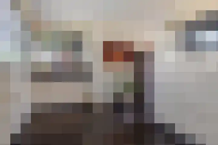 Grasboom 16 Eindhoven thumbnail 16