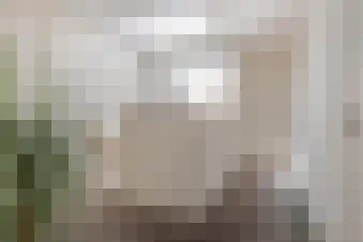 Grasboom 16 Eindhoven thumbnail 18