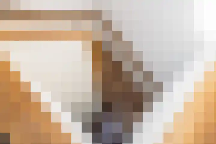Grasboom 16 Eindhoven thumbnail 19