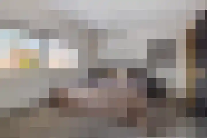 Grasboom 16 Eindhoven thumbnail 20