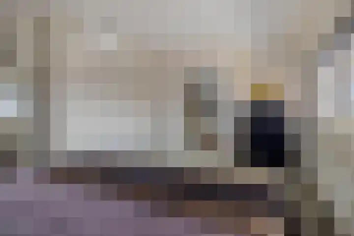 Grasboom 16 Eindhoven thumbnail 21