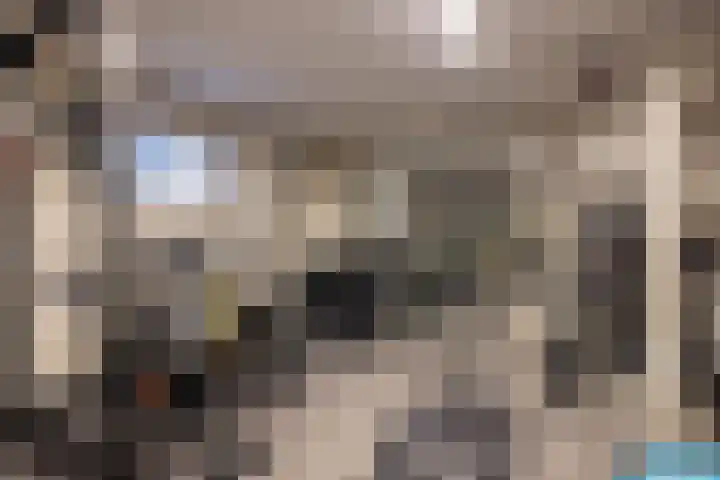 Grasboom 16 Eindhoven thumbnail 29