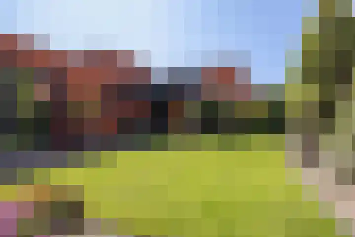 Grasboom 16 Eindhoven thumbnail 31