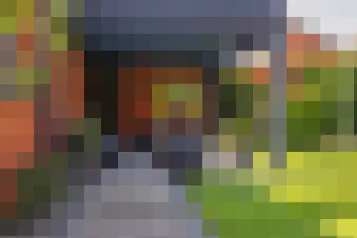 Grasboom 16 Eindhoven thumbnail 32