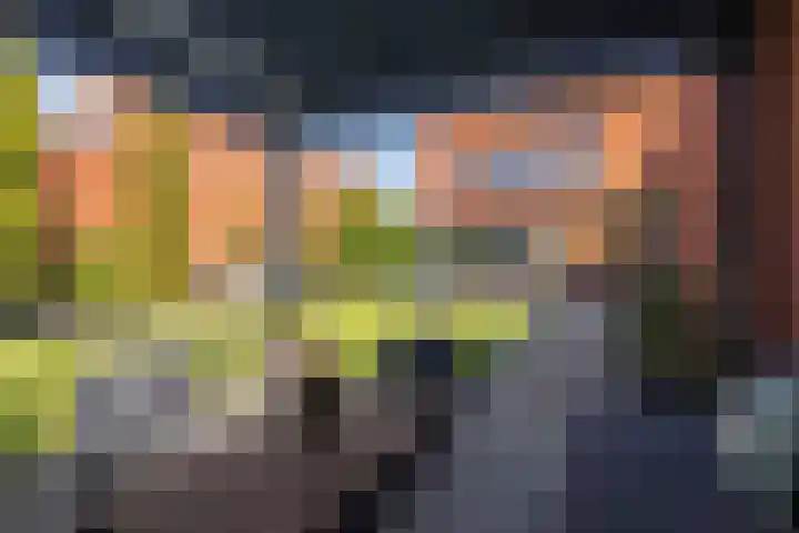 Grasboom 16 Eindhoven thumbnail 33