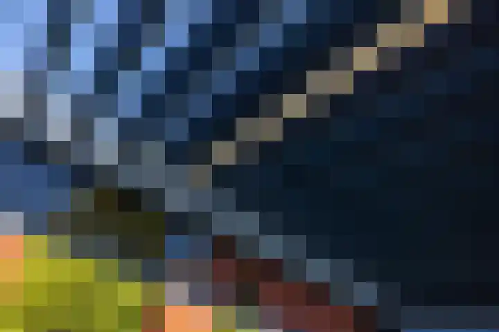 Grasboom 16 Eindhoven thumbnail 34