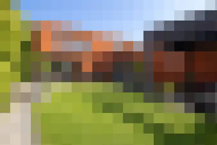 Grasboom 16 Eindhoven thumbnail 35