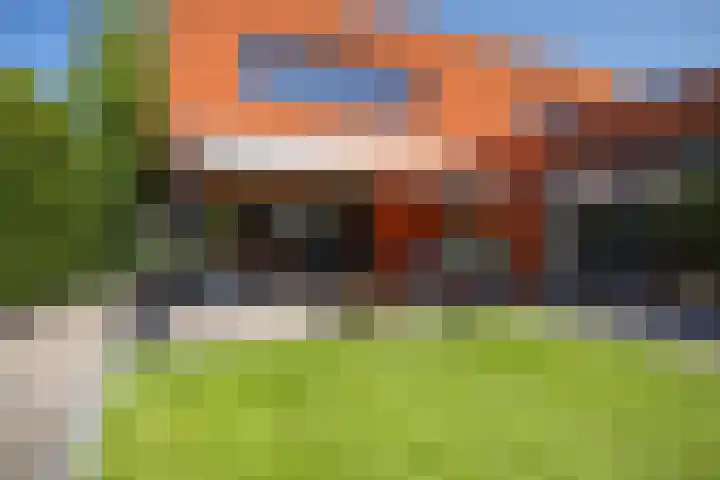 Grasboom 16 Eindhoven thumbnail 36