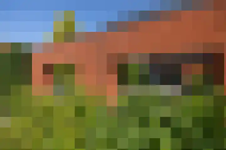 Grasboom 16 Eindhoven thumbnail 37
