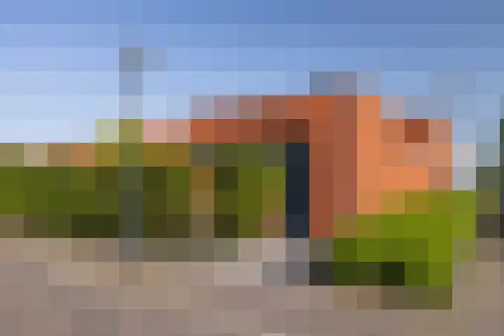 Grasboom 16 Eindhoven thumbnail 38