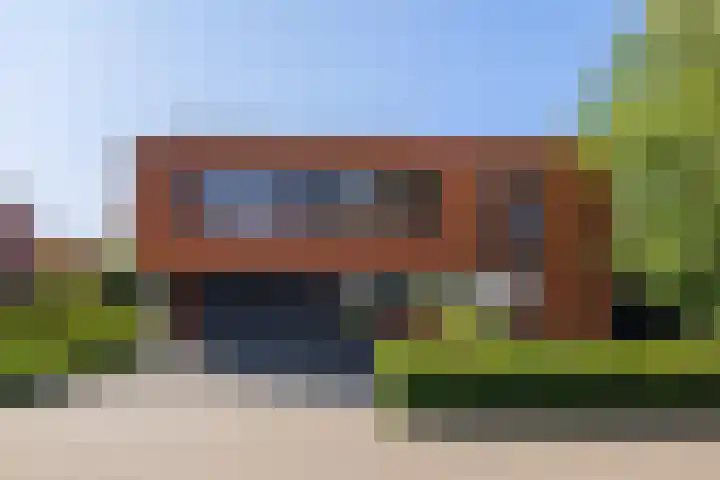 Grasboom 16 Eindhoven thumbnail 39