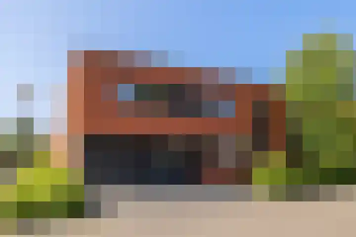 Grasboom 16 Eindhoven thumbnail 4
