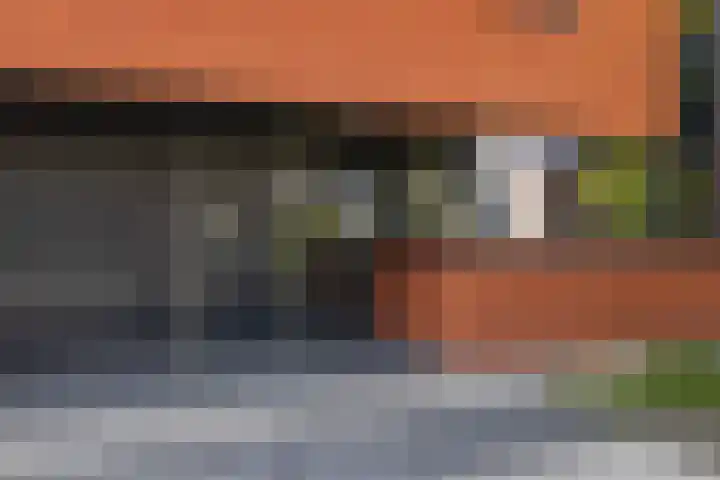 Grasboom 16 Eindhoven thumbnail 40