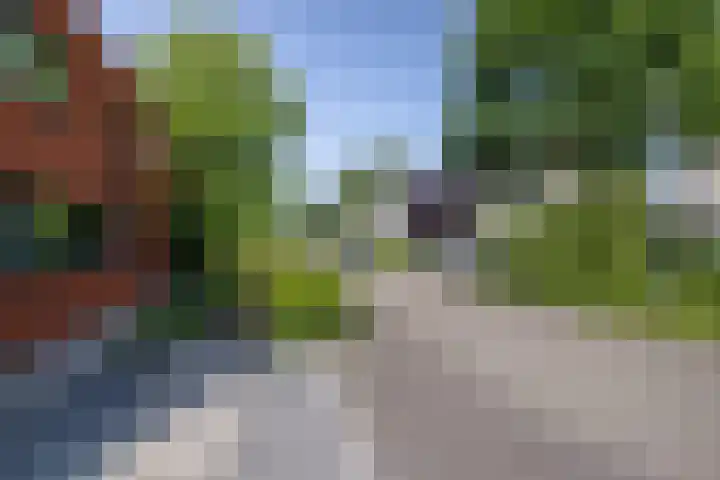 Grasboom 16 Eindhoven thumbnail 41
