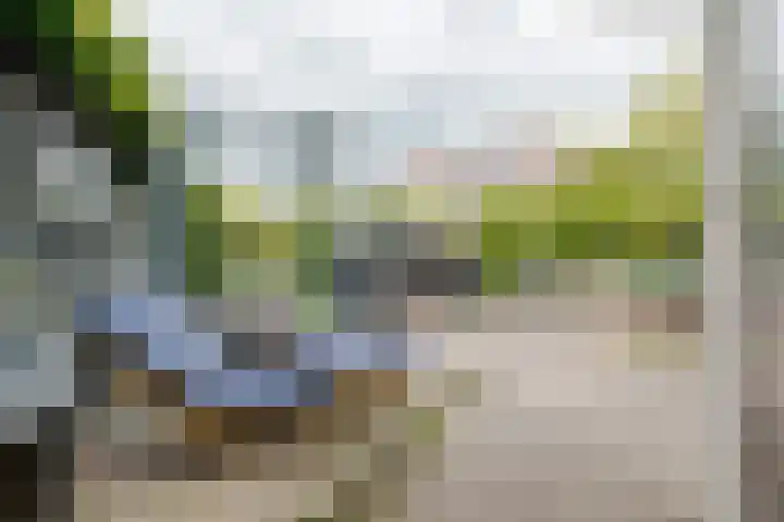 Grasbroek 19 Roden thumbnail 24
