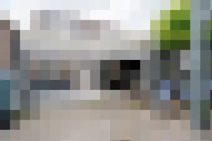 Grasbroek 19 Roden thumbnail 25