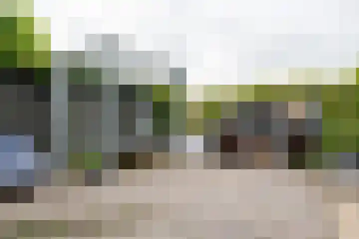 Grasbroek 19 Roden thumbnail 26