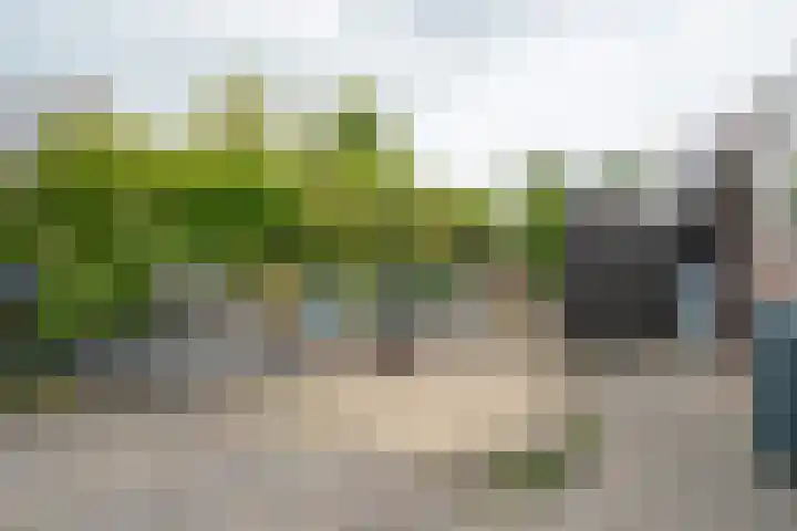 Grasbroek 19 Roden thumbnail 28