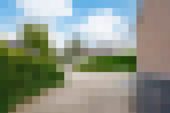 Grasbroek 19 Roden thumbnail 6