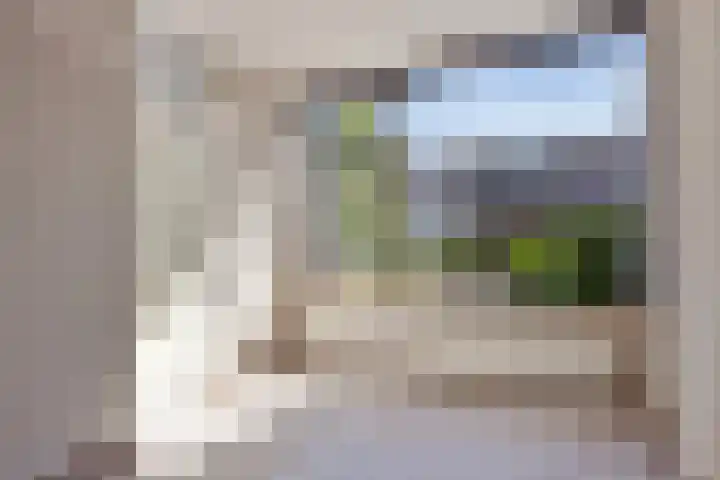 Grasbroek 41 Zwijndrecht thumbnail 12
