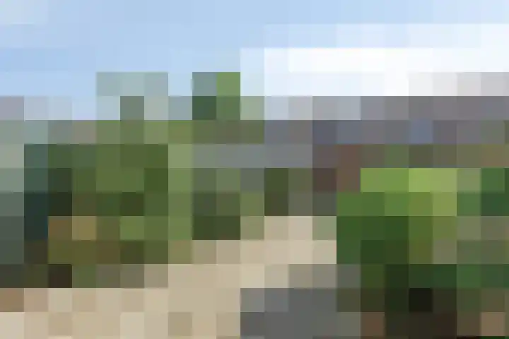 Grasbroek 41 Zwijndrecht thumbnail 28