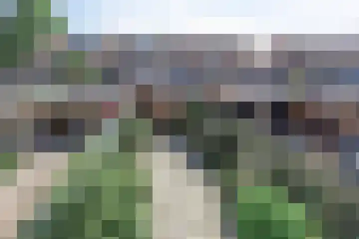 Grasbroek 41 Zwijndrecht thumbnail 31
