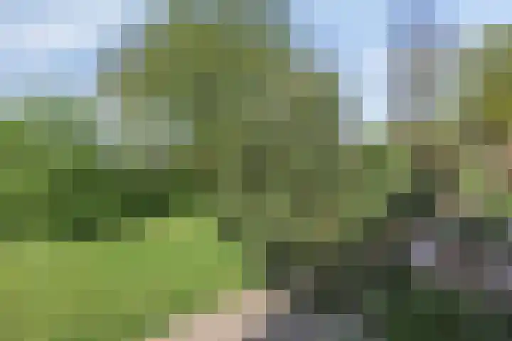 Grasbroek 41 Zwijndrecht thumbnail 33