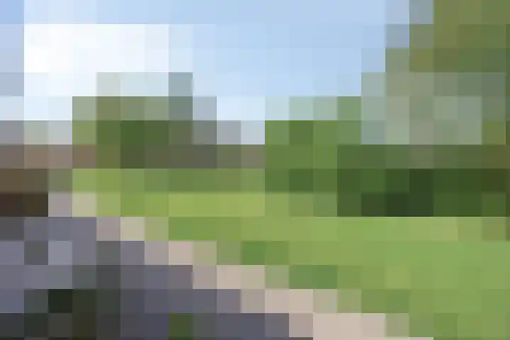 Grasbroek 41 Zwijndrecht thumbnail 34