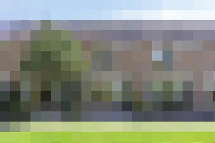 Grasbroek 41 Zwijndrecht thumbnail 35