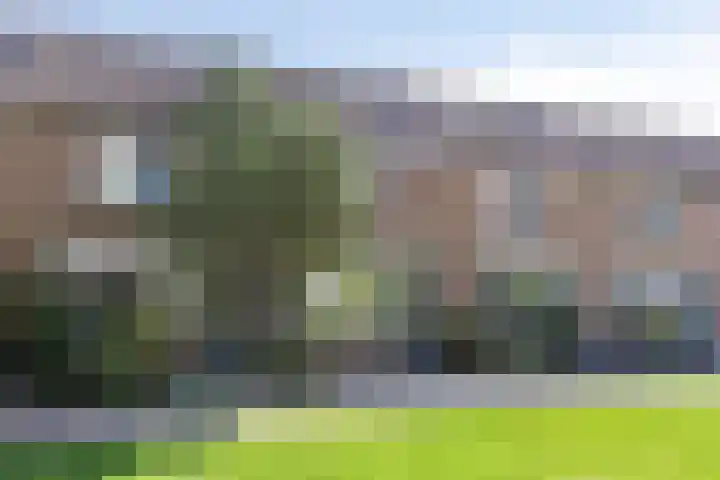 Grasbroek 41 Zwijndrecht thumbnail 36