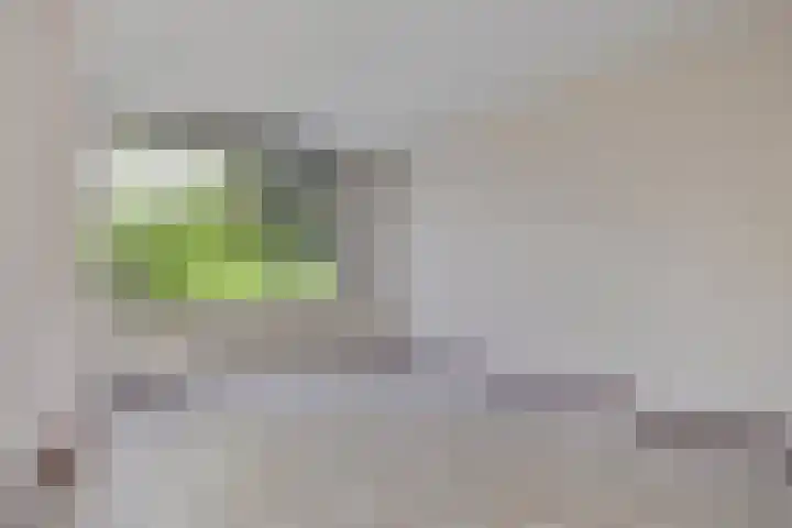 Grasbroek 41 Zwijndrecht thumbnail 5