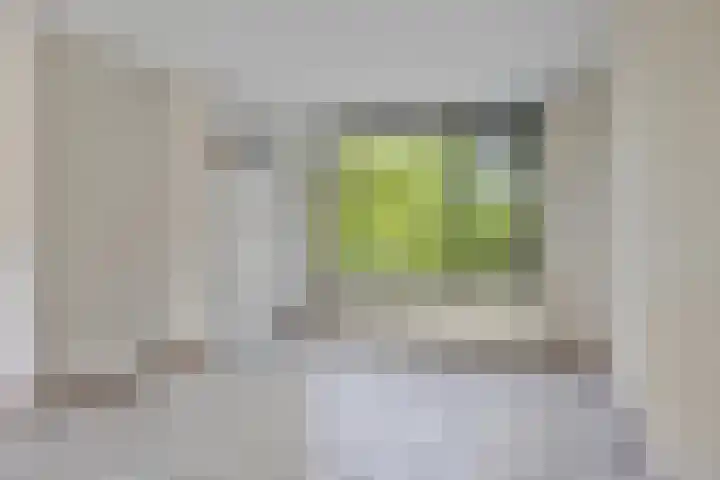 Grasbroek 41 Zwijndrecht thumbnail 9