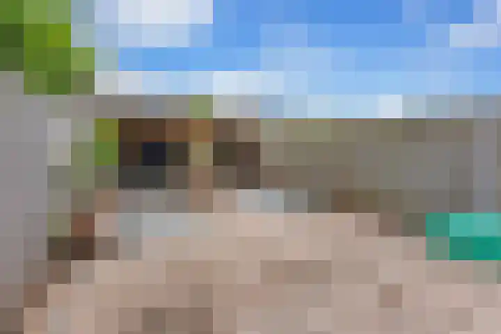 Grasbroek 45 Zwijndrecht thumbnail 39