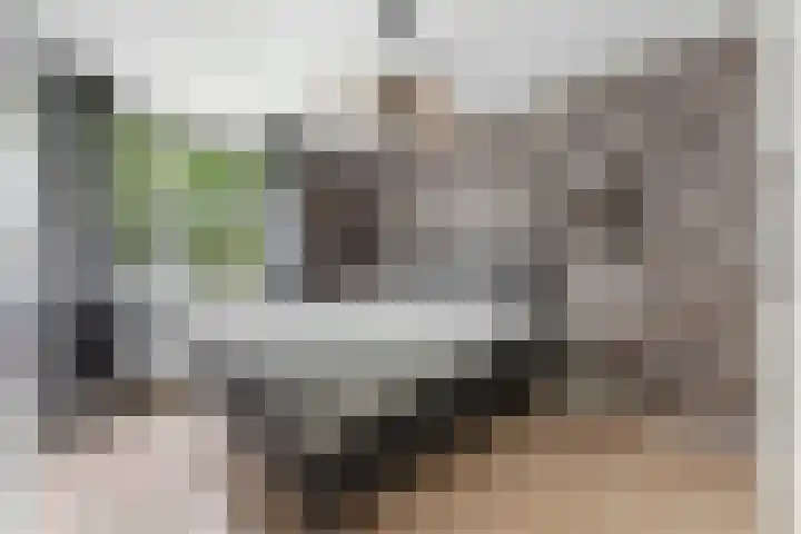 Grasbroek 45 Zwijndrecht thumbnail 4