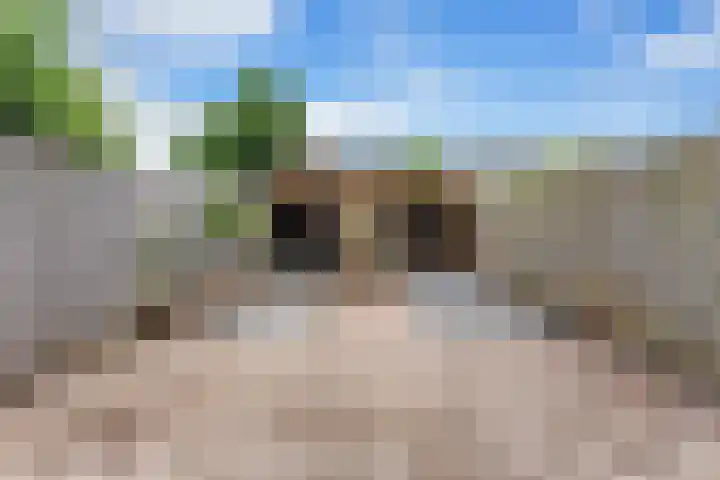 Grasbroek 45 Zwijndrecht thumbnail 40