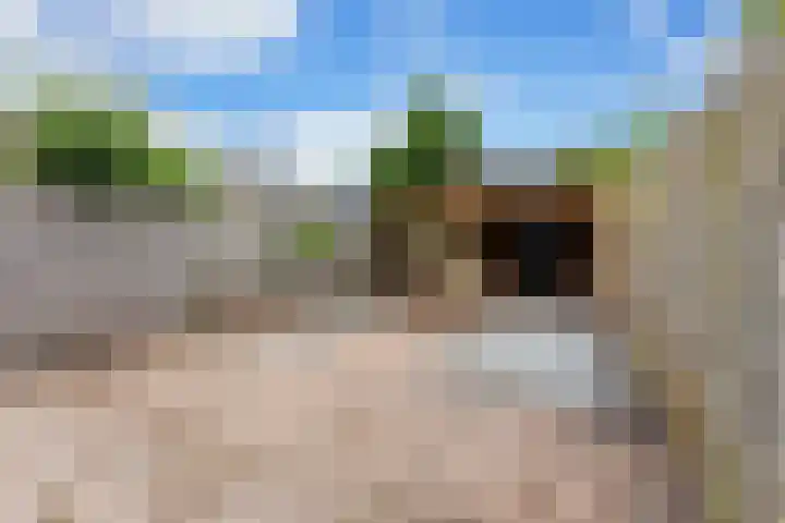 Grasbroek 45 Zwijndrecht thumbnail 41